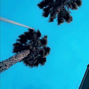 Meet your Posher, Sasha